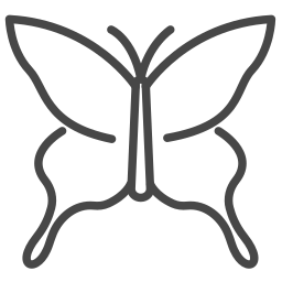 Insect icon