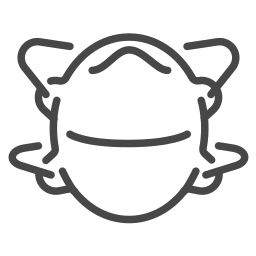 Mask icon