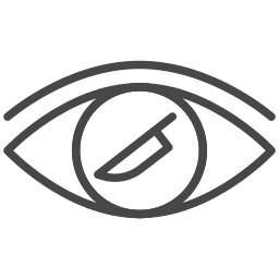 Eye icon