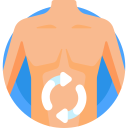 metabolismo icono