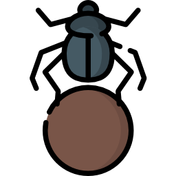 scarabee icoon