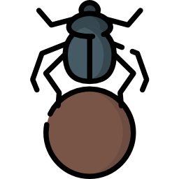 Scarab icon