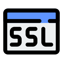 ssl icon