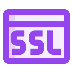 ssl icon