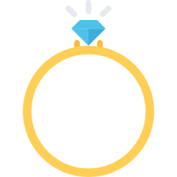 Ring icon