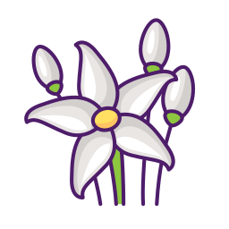 jasmijn bloem icoon
