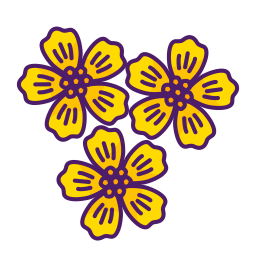 Mint marigold icon