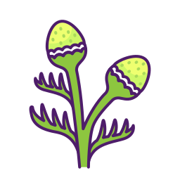 ananaskraut icon