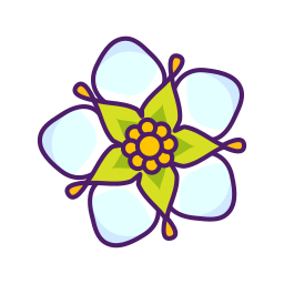 kwiaty truskawek ikona