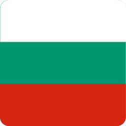 Flag icon