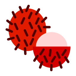 rambutan icon