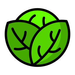 Cabbage icon