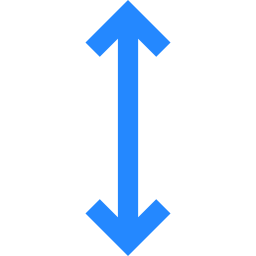 Double arrow icon