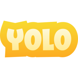 yolo icoon