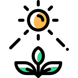 fotosynteza ikona