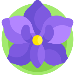 Orchid icon