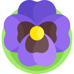 Pansy icon