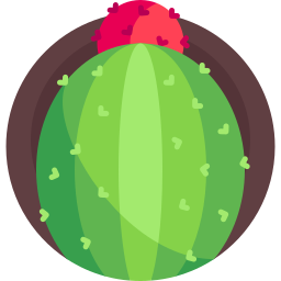 melocactus icono