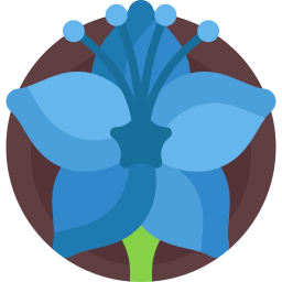 Mexican bluebell icon