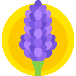 Andean lupine icon