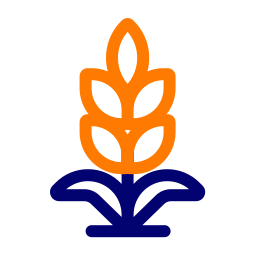 arrozal icono