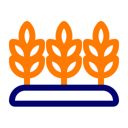 arrozal icono