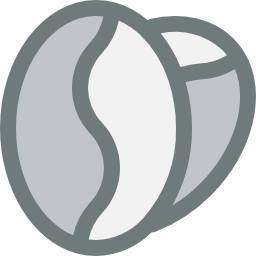 Coffee seed icon