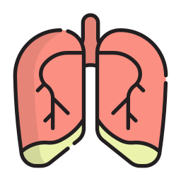 medico icona