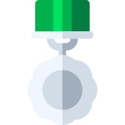 Medal icon