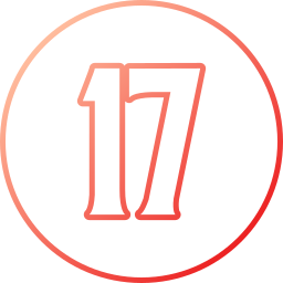 17 icon