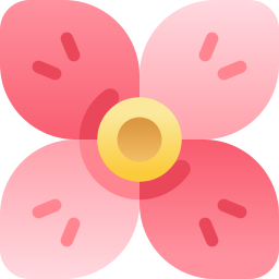 Cherry blossom icon