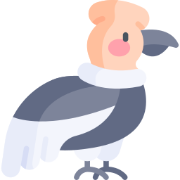 Condor icon