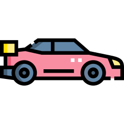 Rally icon