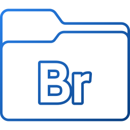 adobe bridge icon