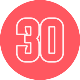 30 icon