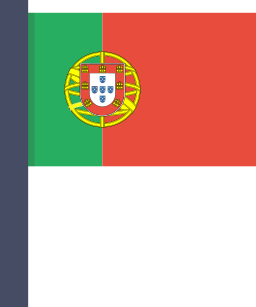 bandera icono