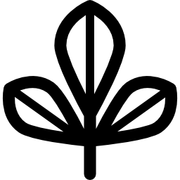 Bael tree icon