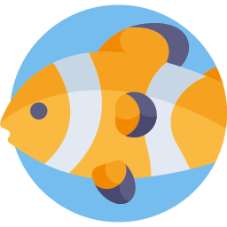 Clown fish icon