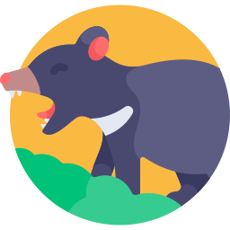 Tasmanian devil icon