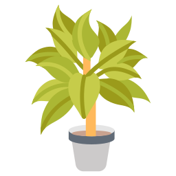 plante à feuilles persistantes Icône