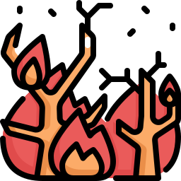 drahtfeuer icon