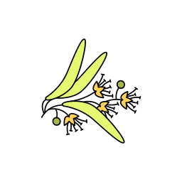 Flower icon