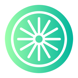 ashoka-chakra icon