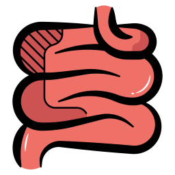 Human digestive icon
