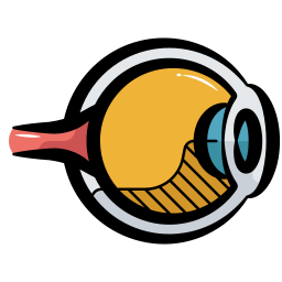 Human eye anatomy icon