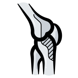 Human knee joint icon