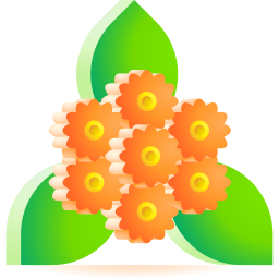 Bouquet of flowers icon