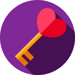 Key icon