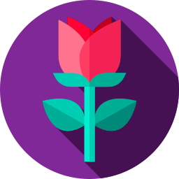 Rose icon