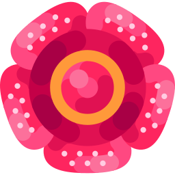 rafflesia arnoldii icono